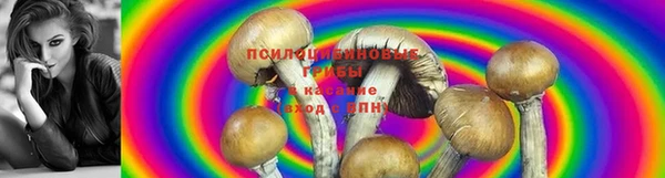 скорость Абинск