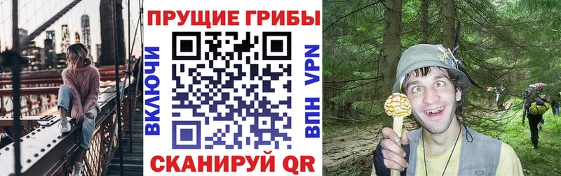 МЕГА ссылки  Фурманов  Галлюциногенные грибы GOLDEN TEACHER 