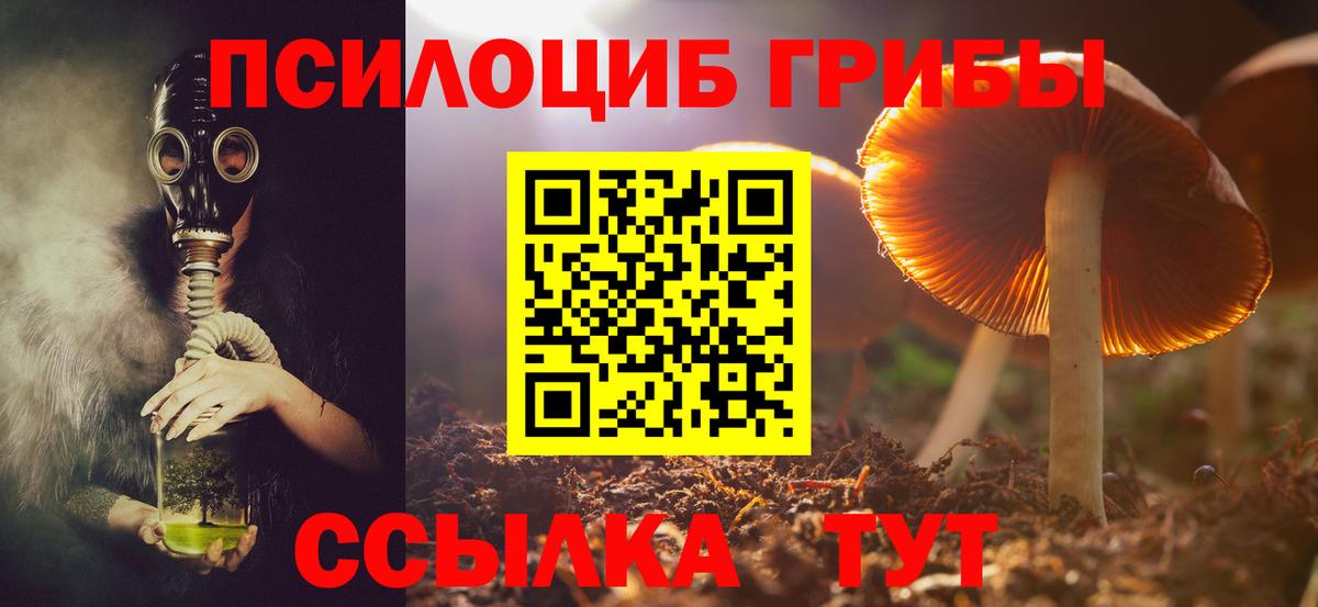 Фурманов  Галлюциногенные грибы прущие грибы  где можно купить наркотик  Вход с VPN  Галлюциногенные грибы мухоморы 