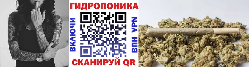 Марихуана гибрид  дарнет шоп  Фурманов 